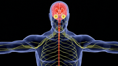 Arialief sciatica & nerve pain relief formula
